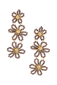 Brown Picture6