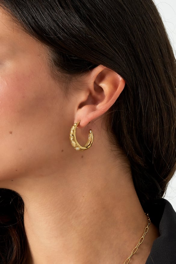 Textured Hoops earrings - Silver Color color