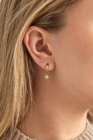 Earrings stardust - Gold color h5 Picture2