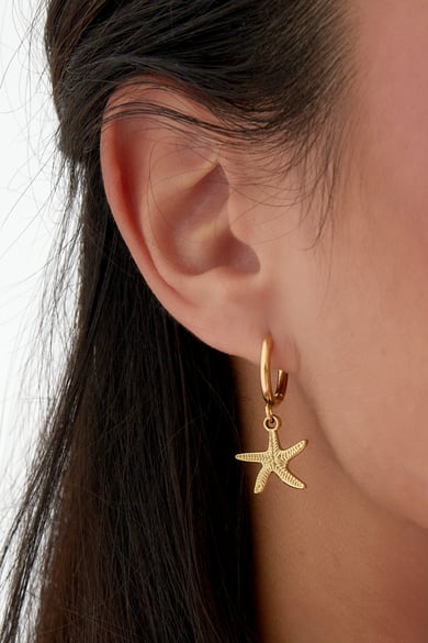 Earrings simple starfish - Silver Color color h5 Picture3