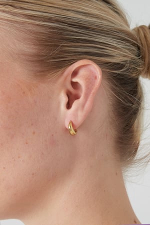 Small basic hoop earrings - Gold color h5 Picture2