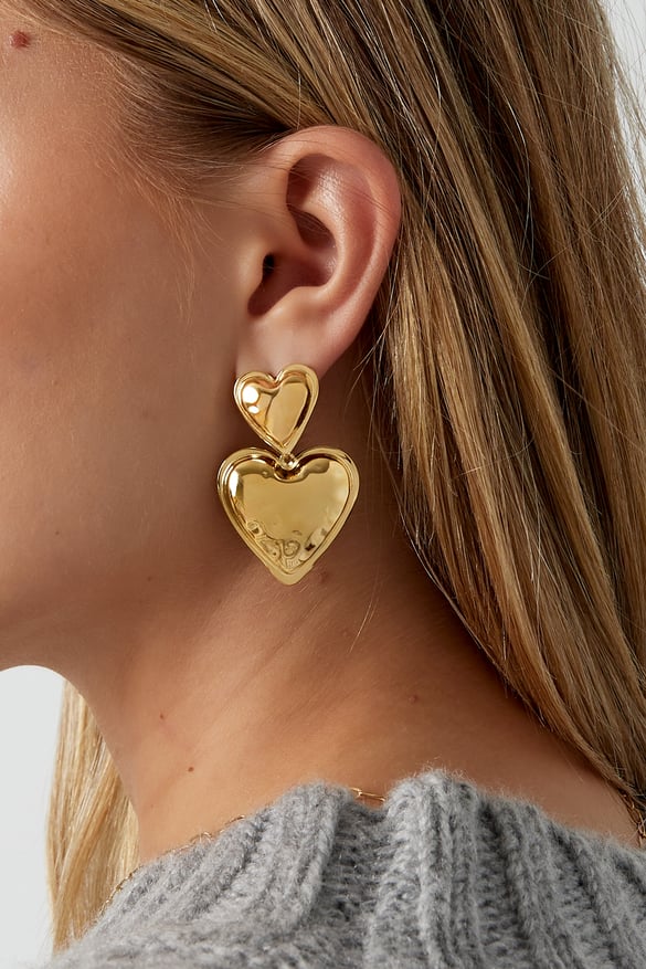 Heart Duo earrings - Silver Color color