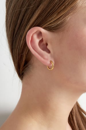 Refined relief earrings - Gold color h5 Picture2