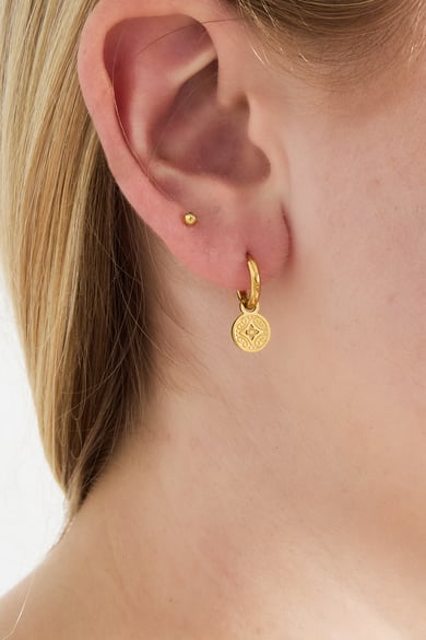 Roma coin earrings h5 Picture2