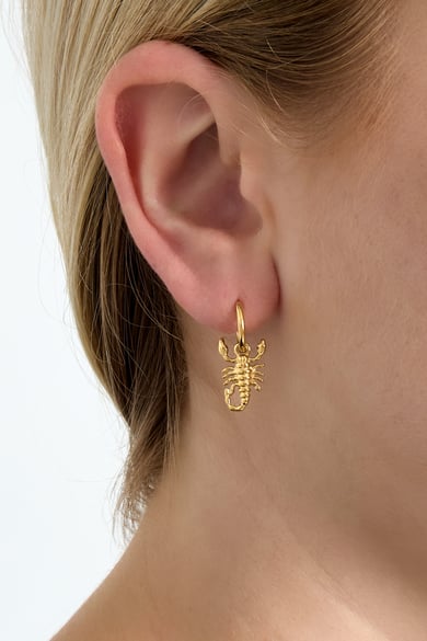 Scorpio Spirit earrings h5 Picture2
