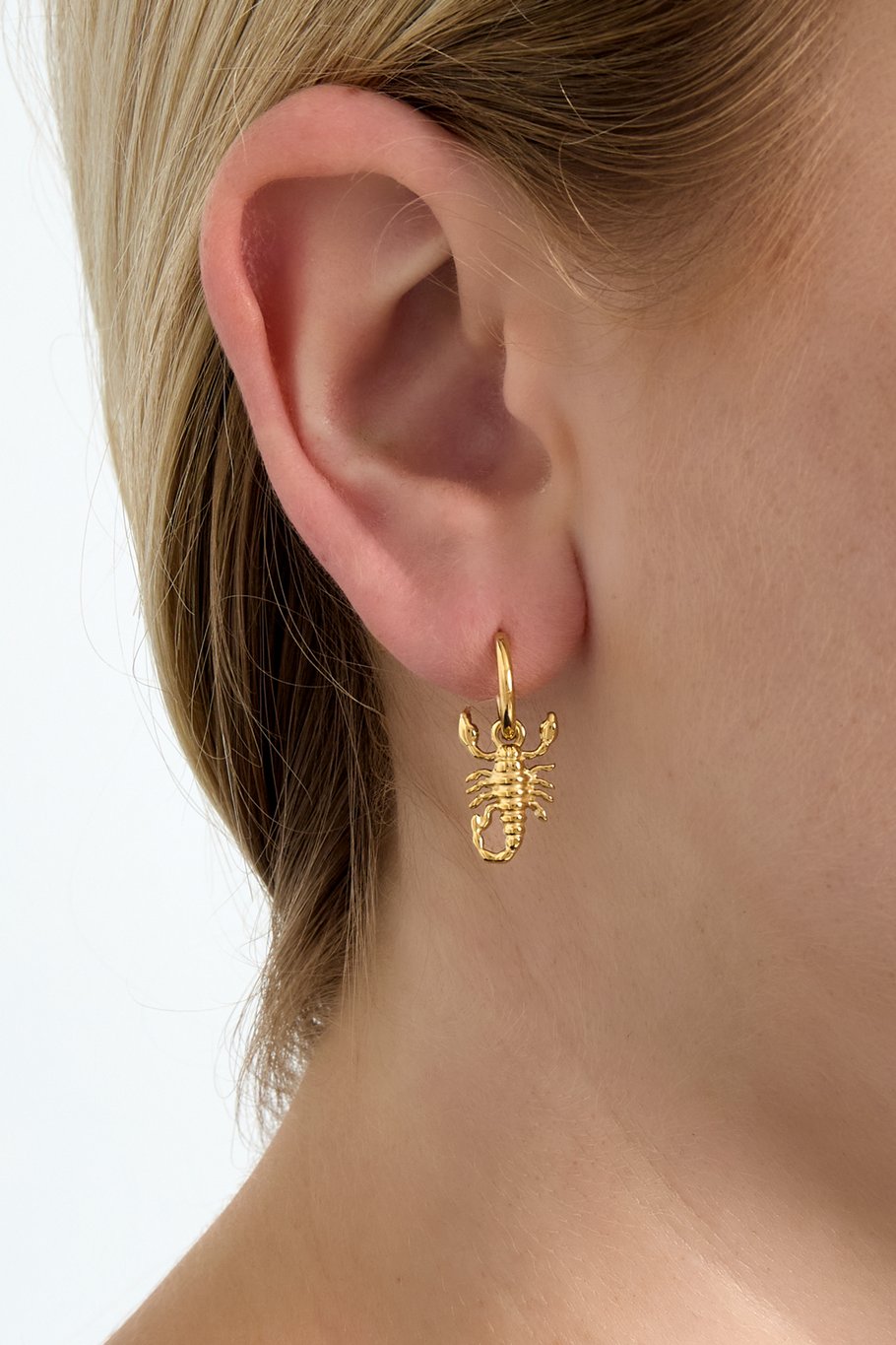 Scorpio Spirit earrings Picture2
