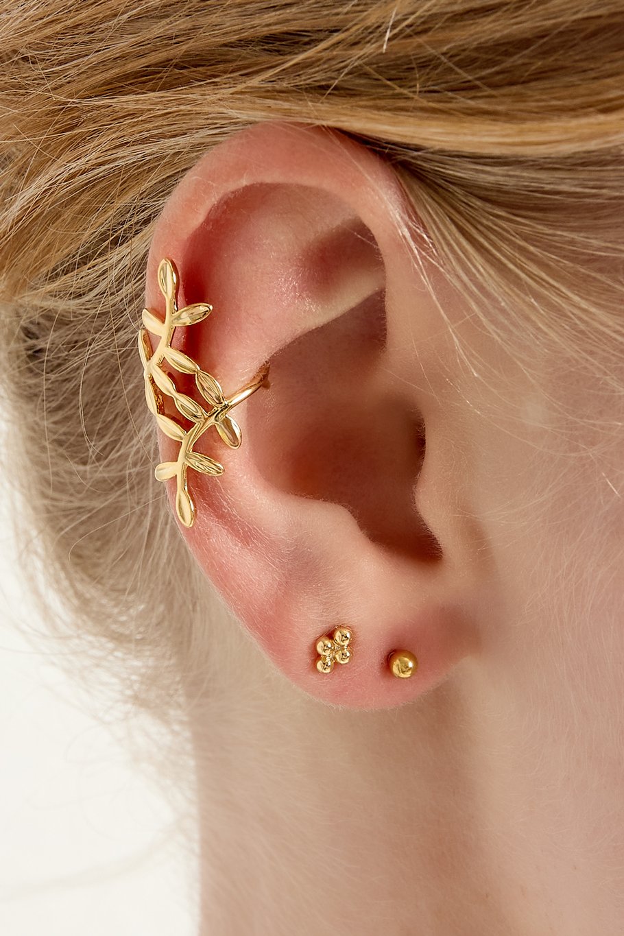 Ear cuff plant Picture2