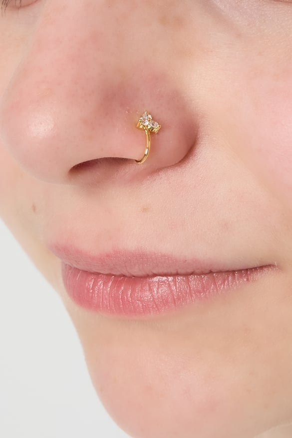 manchette de nez et manchette d&#39;oreille 2