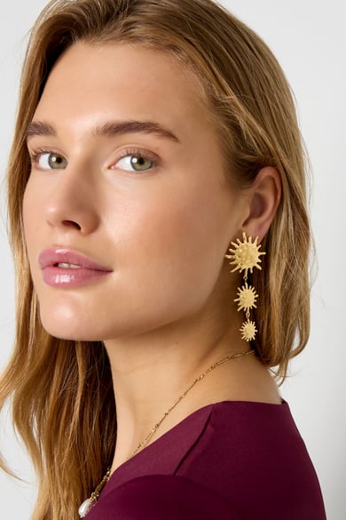 Stainless Steel Dangle Earrings sun Casual Daily Simple Series Women's jewelry h5 Picture2