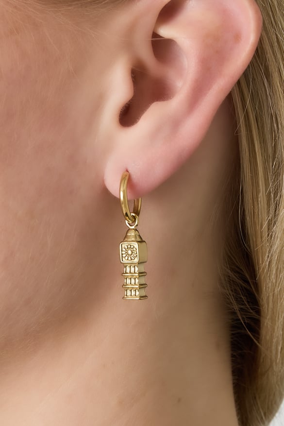 Stainless Steel Drop Earrings Cartoon Casual Daily Simple Series Women's jewelry