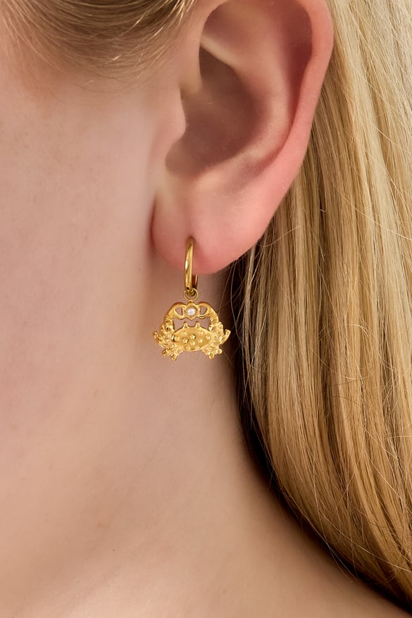 304S.steel Drop Earrings Animal Casual Daily 2