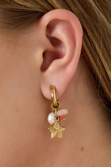 Stainless Steel Drop Earrings Star Casual Daily Simple Series Women's jewelry h5 Picture2