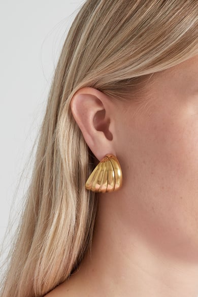 Stainless Steel Stud Earrings Geometric Casual Daily Simple Series Women's jewelry h5 Picture2