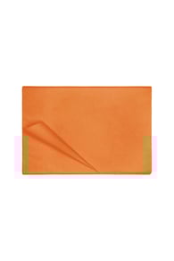 orange Bild6