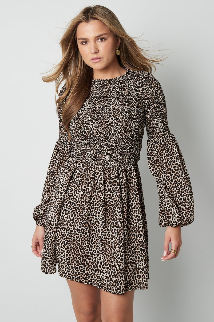 Leopard Mini Dress - Brown Picture2