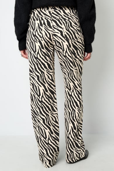 The Zebra Jeans h5 Picture7