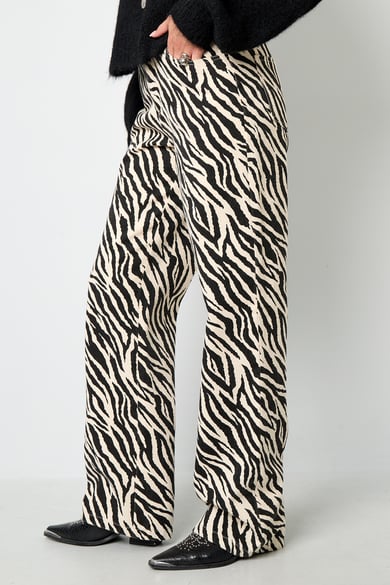 The Zebra Jeans h5 Picture5