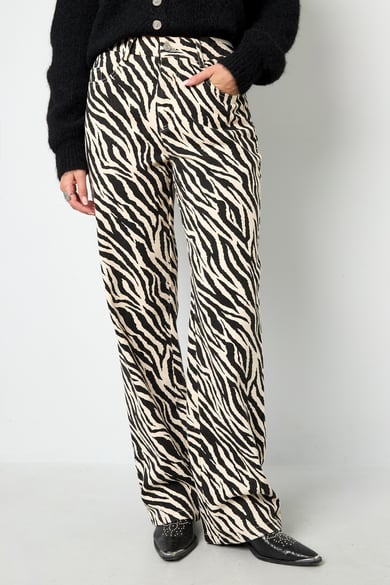 The Zebra Jeans h5 Picture2