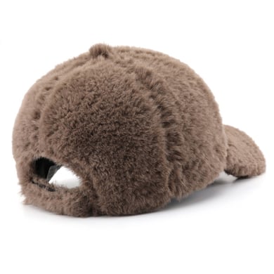 1 Piece Casual Solid Color Plush Baseball Cap h5 Picture6