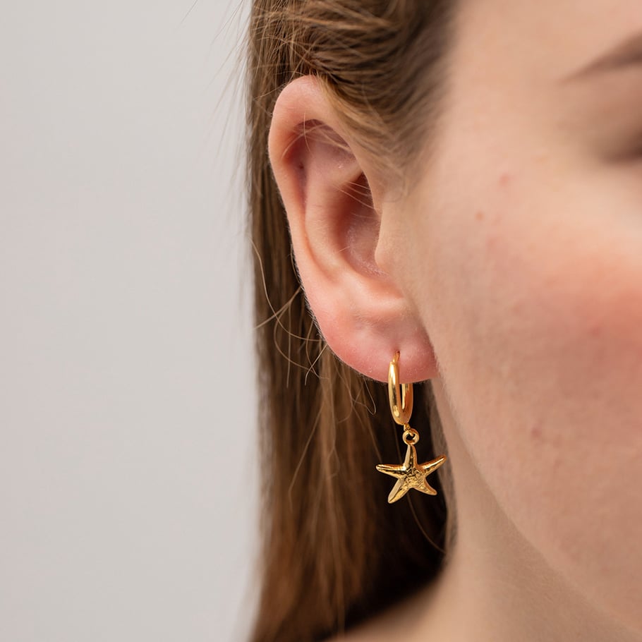 French retro ins style 18K gold stainless steel starfish pendant earrings fashionable women's versatile titanium steel non-fading earrings Picture4