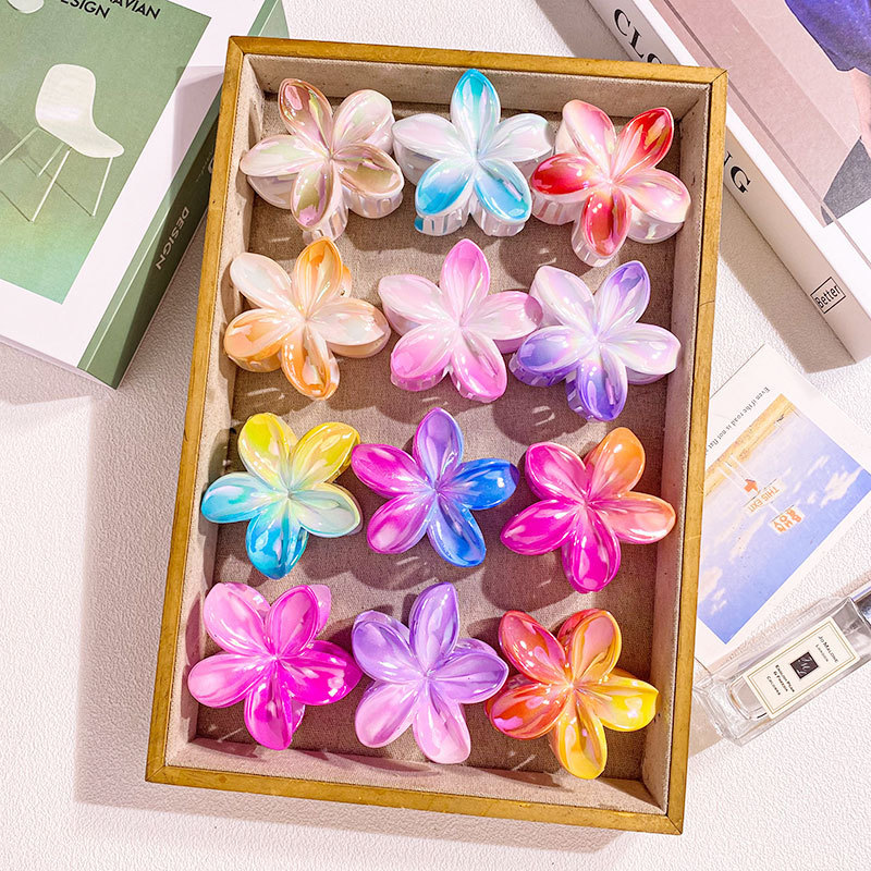 1 Piece Colorful Blurred Effect Flower Shaped Hair Claws Picture3