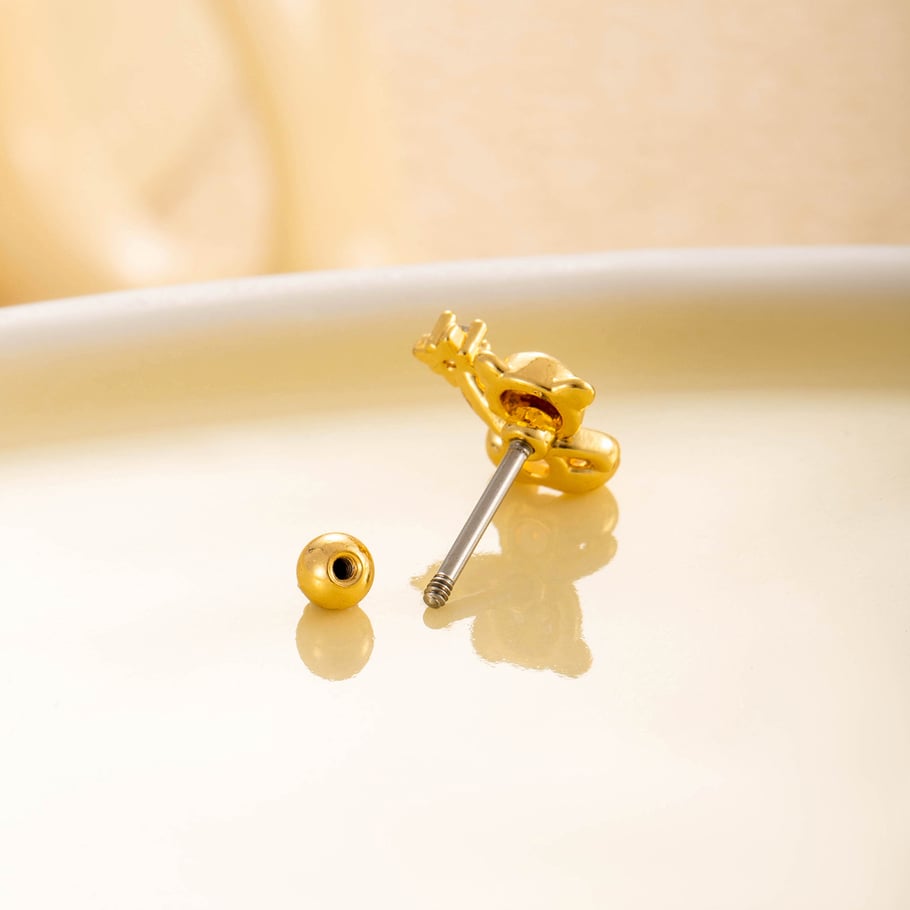 1 Pair Simple Series Simple Animal Titanium Steel No Plating Material Zircon Women Stud Earrings Picture6