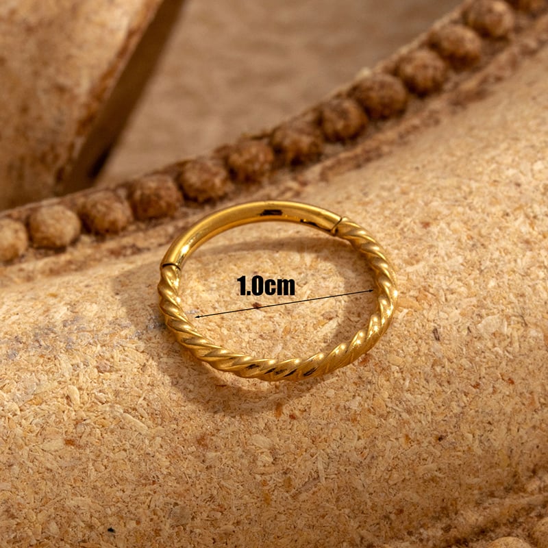 1 Pair Simple Series Simple Geometric Titanium Steel No Plating Material Women Hoop Earrings Picture6