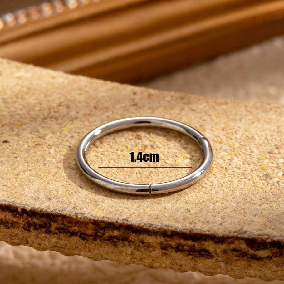 1 Pair Simple Series Classic Geometric Titanium Steel No Plating Material Women Hoop Earrings Picture5