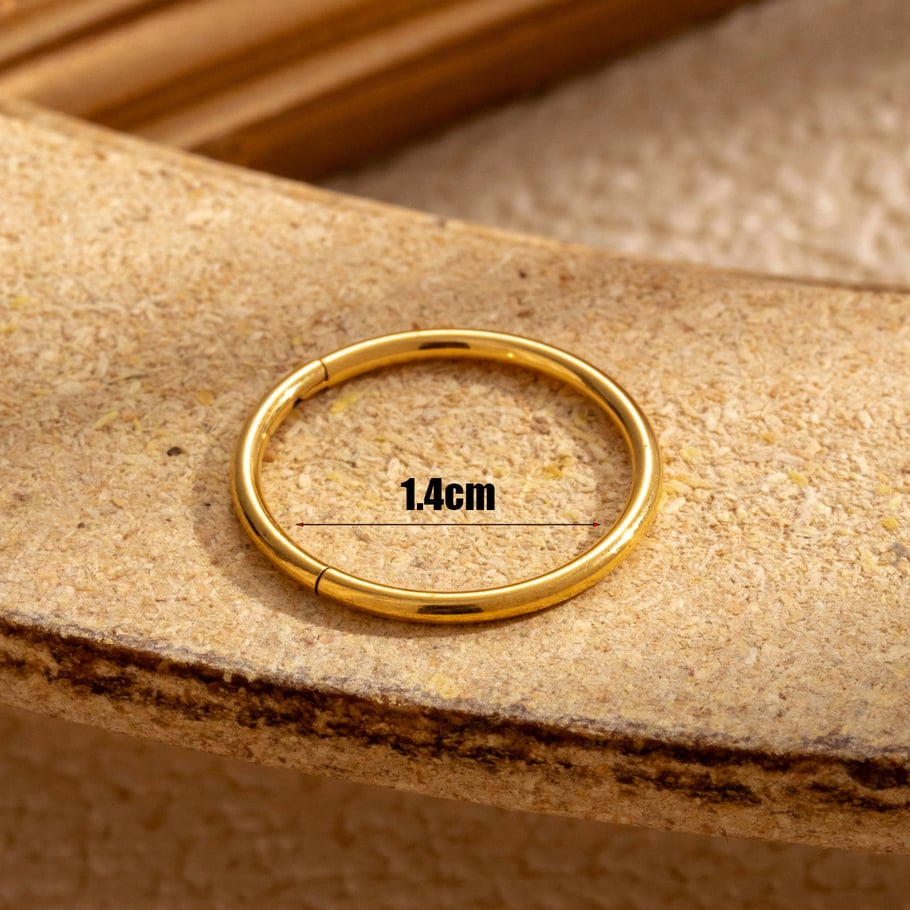1 Pair Simple Series Simple Geometric Titanium Steel No Plating Material Women Hoop Earrings Picture6