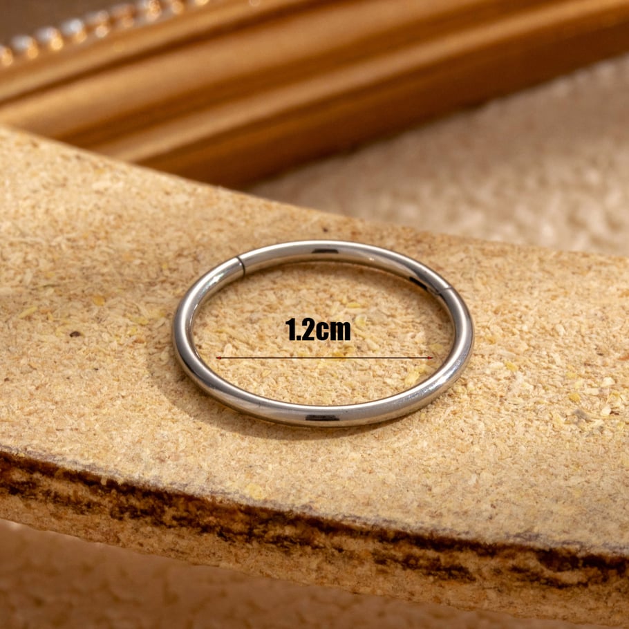 1 Piece Simple Series Classic Geometric Titanium Steel No Plating Material Women Hoop Earrings h5Picture3
