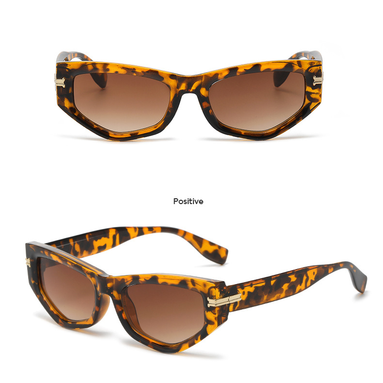 1 Pair Simple Series Daily Leopard Print Plastic Women Sunglasses Picture4