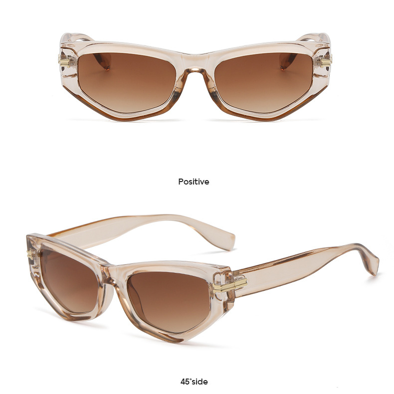 1 Pair Simple Series Daily Leopard Print Plastic Women Sunglasses Picture7