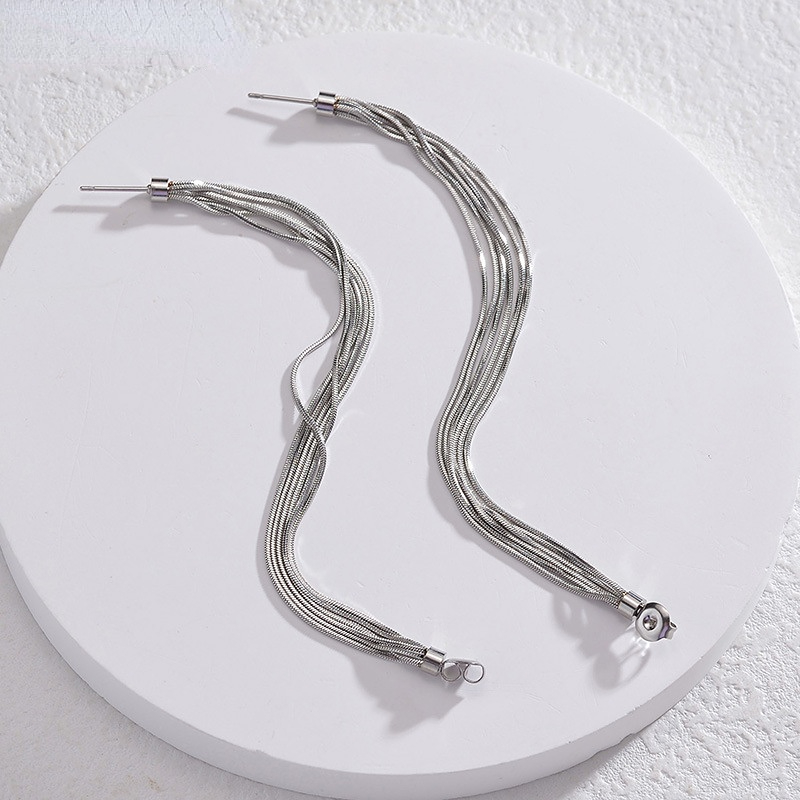 1 Pair Simple Series Daily Solid Color Stainless Steel Women's Drop Earrings Picture7