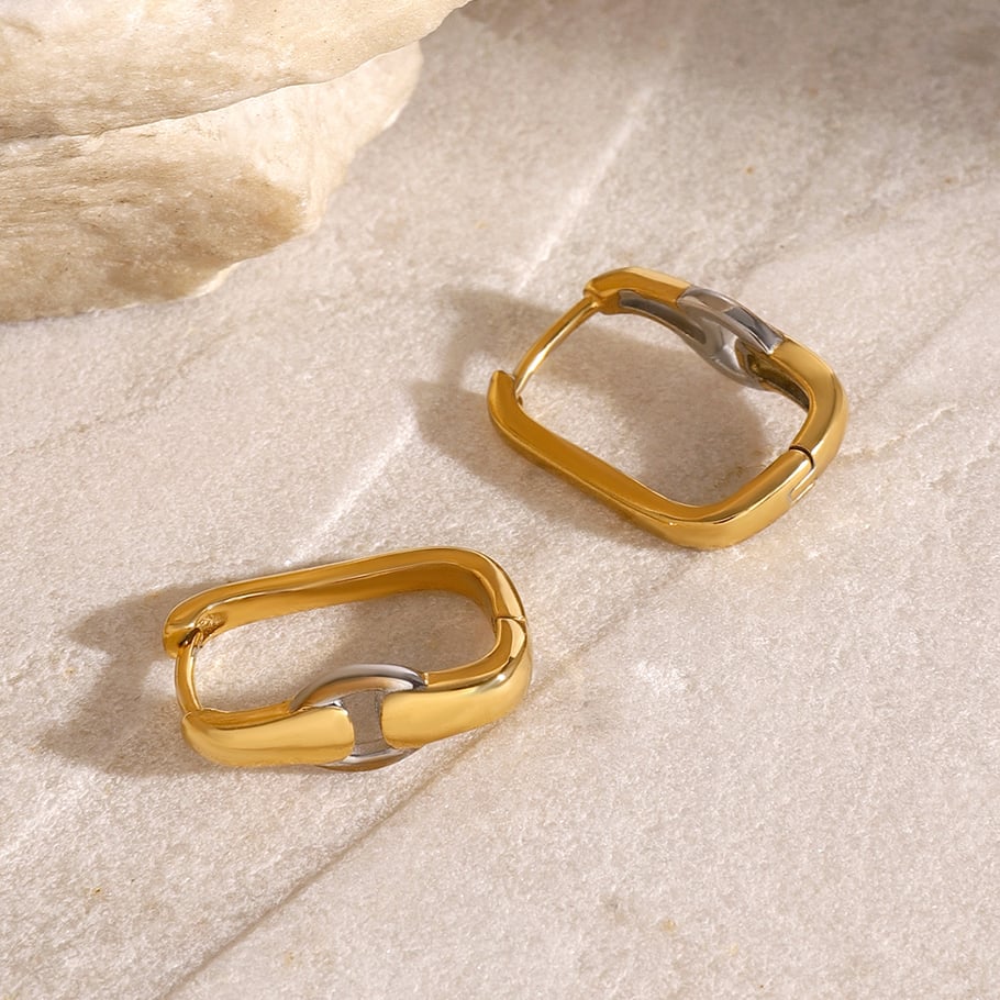1 Pair Fashionable Series High-end Annular Stainless Steel Gold and Silver Color Women's Hoop Earrings h5Picture5