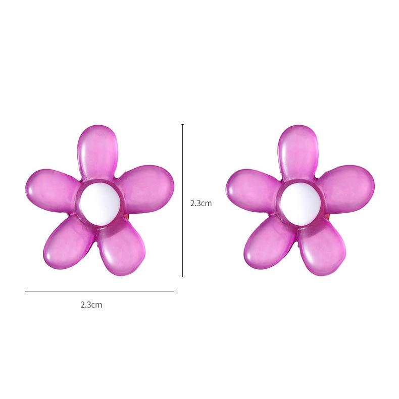 1 Pair Romantic Series Natural Flower Resin Women's Stud Earrings Picture9