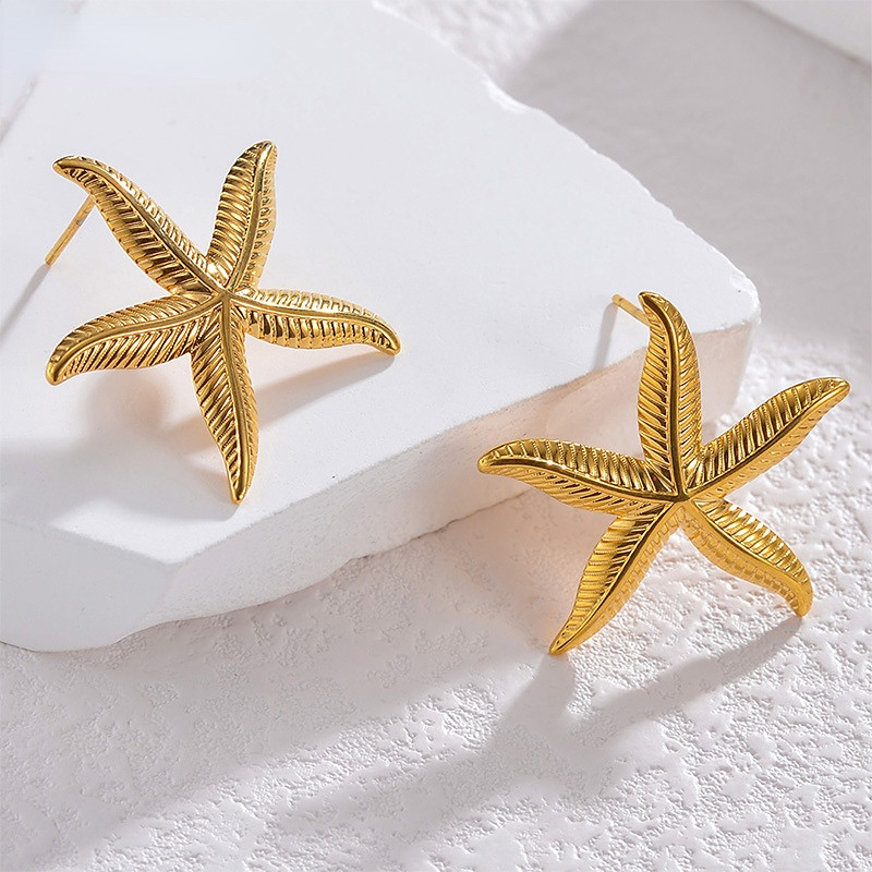 1 Pair Simple Series Daily Star Stainless Steel Women's Stud Earrings Picture4