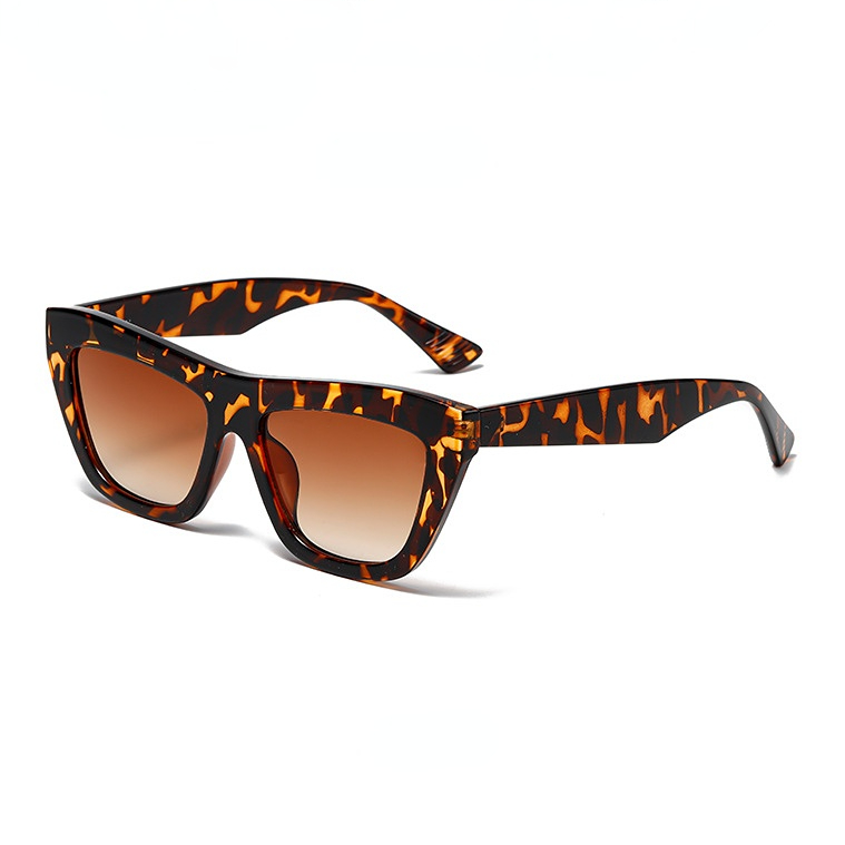 1 Pair of Stylish Retro Cat  Eye Shaped Women's Sunglasses Picture6