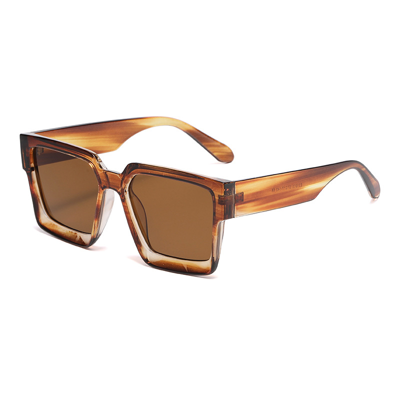 1 Stück Simple Series Casual Leopard Print Kunststoff Damen Sonnenbrille Bild3