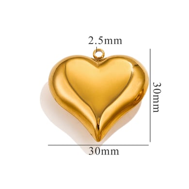 1 Paar Damen-Anhänger aus Edelstahl der Romantischen Serie Sweet Heart h5 Bild3