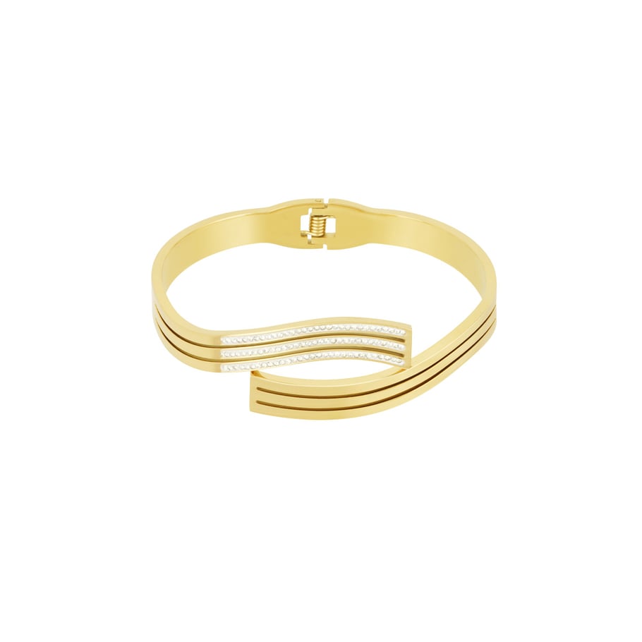 1 Piece Stylish Series Classic Strip Stainless Steel Gold Color Women's Bangles Picture4