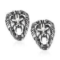 GE1088-Steel earrings 