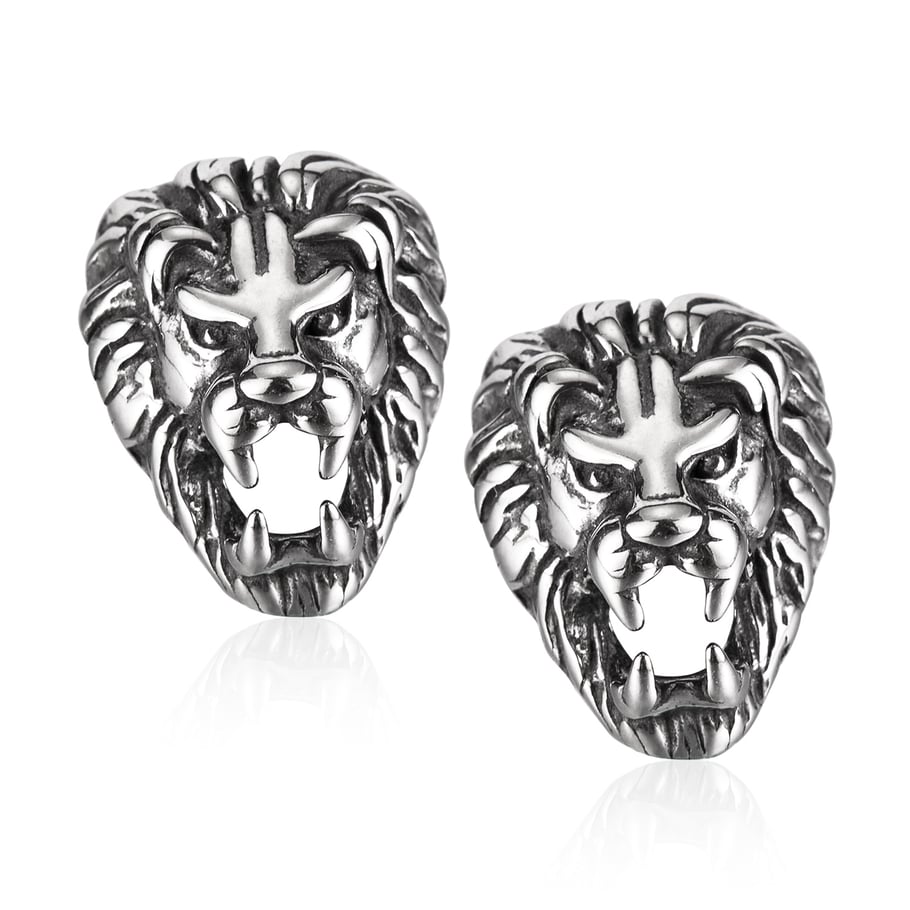 1 Pair Rock Snake Stainless Steel Men's Earrings 