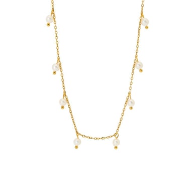 1 Piece Simple Series Daily Pearl Women's Pendant Necklaces h5 Picture5