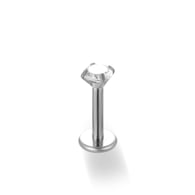 028-Silver Picture5