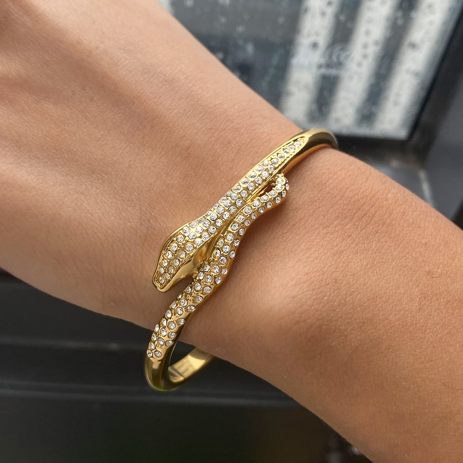 1 Piece Retro Stainless Steel Gold Color Snake Shape Women's Bangles Picture4