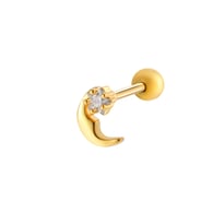 5# Gold Bild17