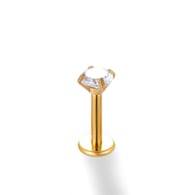 028-Gold Picture8