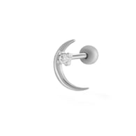 12# Silver Picture22