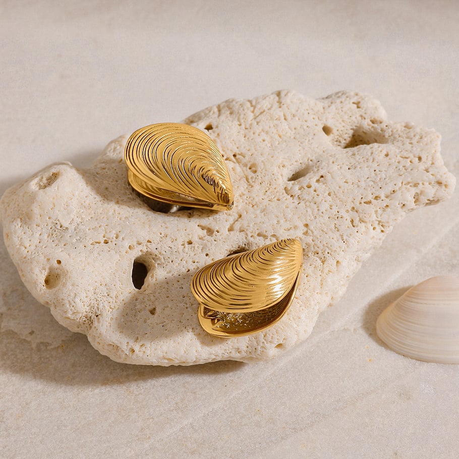 Ohrstecker aus Edelstahl mit Muscheln in  Bild6