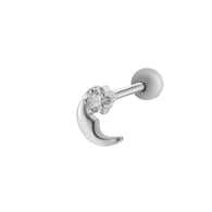 5# Silber Bild16